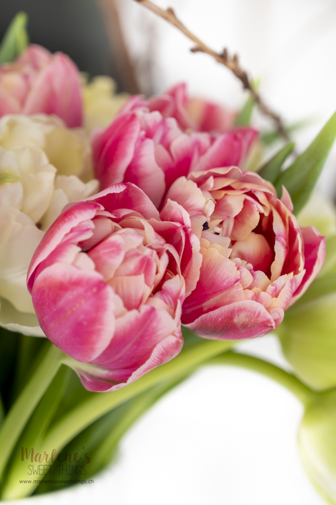 Tricks zur Pflege der Tulpen
