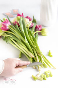 so schneidet man Tulpen richtig