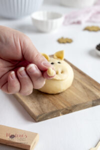 Anleitung zum Glückschweinchen formen